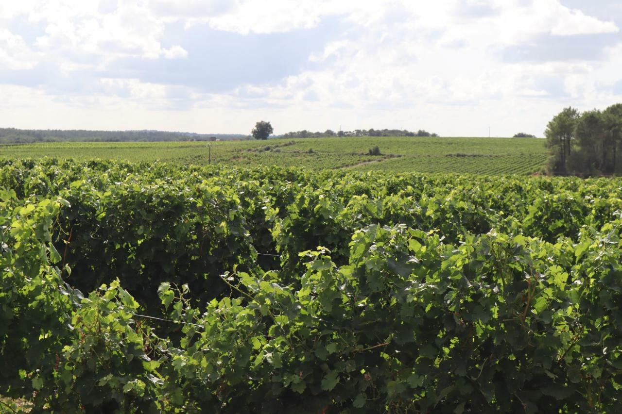 Domaine Des Tilleuls Val-de-Livenne المظهر الخارجي الصورة